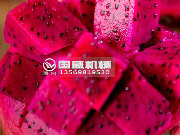 玉米视频下载火龙果挤压脱水设备